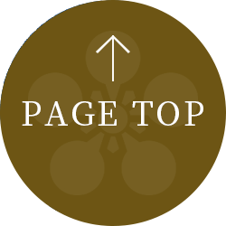 PAGE TOP